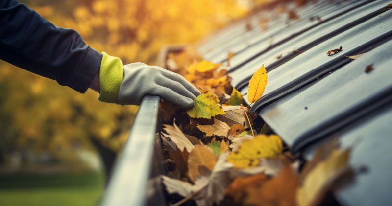 Preparing Gutters for Fall