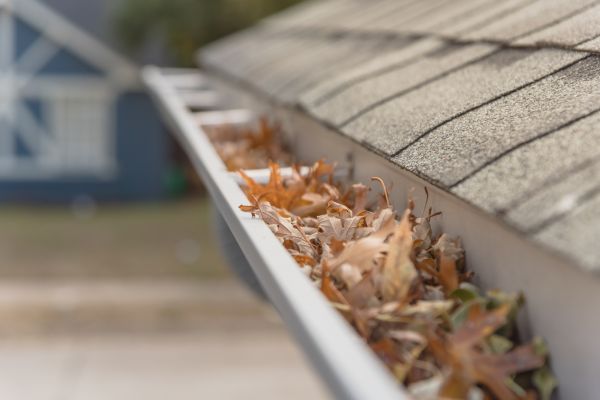 Leaf Barrier Installation in Gallatin